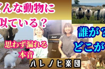 【トークセッション / バンドマン】Asami＆megu「各メンバーのイメージを動物に例えると？」ハレノヒ楽団 #女子トーク #動物好き #ミュージシャン #性格  #相手の印象