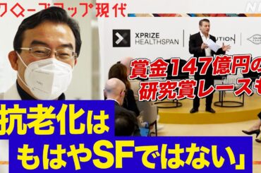 【市場規模6兆円超か】40年生きるネズミの仕組みにヒント！？老いに抗い「健康寿命」を延ばす最新研究 巨額の資金が集まる現場を取材(語り:中井和哉)【クロ現】| NHK