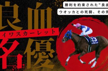 ターフを駆けた名女優・ダイワスカーレットの物語【名馬伝説】  #競馬