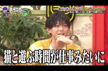 【あちこちオードリー】🎐🏮 🅷🅾🆃 ☘【猫と遊ぶ時間が仕事みたいに】