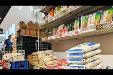 沖縄でコメを10キロ買う観光客　品薄感なくスーパーに山積み　県外の家族や友人に送る動きも　「令和の米騒動」の余波