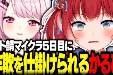 スト鯖マイクラ5日目にウキウキで開店するも客に詐欺を仕掛けられる赤見かるび【赤見かるび切り抜き 柊ツルギ 猫汰つな 魔界ノりりむ ハセシン 杏戸ゆげ NIRU VCRマイクラ】
