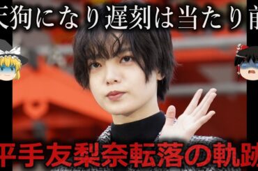 【ゆっくり解説】アイドル時代から次第に...平手友梨奈転落の軌跡をゆっくり解説