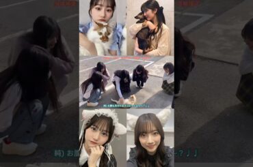 向井純葉 小田倉麗奈 ペットや猫と戯れるいとれいな♩♩ポッケ キャンディー 回復祈願 Charlie Puth Girlfriend