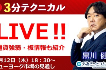 見通しズバリ！3分テクニカル分析「ライブ‼」 ニューヨーク市場の見通し　2024年9月12日