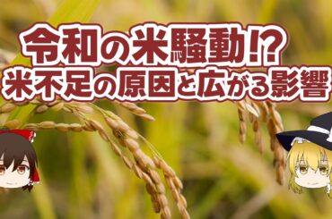 令和の米騒動!? 米不足の原因と広がる影響【ゆっくり解説】