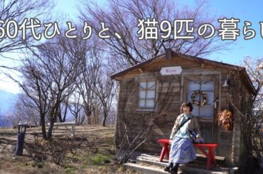 【八ヶ岳🍃151話】雨の日はお茶を飲みながら、庭を空想する/移住して春が好きになった/ハイジの村/甘辛いスープと、「リュウジレシピ」の時短・簡単カレーを作る♪/一人と猫9匹たちとの、にぎやかな暮らし