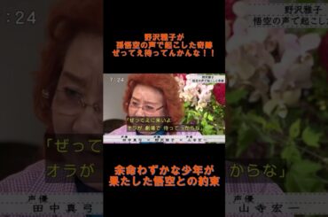 【野沢雅子】孫悟空の声で起こした奇跡　#shorts  #名言 #奇跡 #ドラゴンボール  #悟空 #孫悟空 #野沢雅子