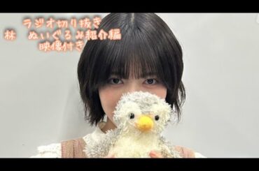 林瑠奈ちゃんラジオでもぬいぐるみ紹介編　2023年11月14日放送分【タイムちゃん切り抜き　映像付き】　乃木坂46　林瑠奈、タイムマシーン3号