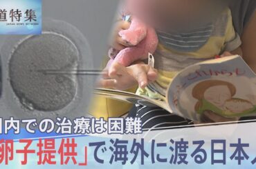 「卵子提供」国内で進まない理由は？ “似ていない”兄弟と指摘され…出産後も親が抱える不安【報道特集】｜TBS NEWS DIG