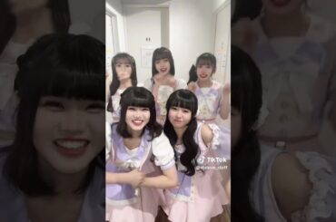 かわいい🐱？#スタラブ #スターチスのラブレター #アイドル