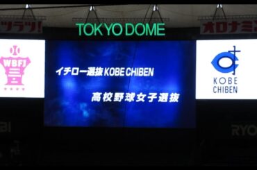2024高校野球女子選抜 vs イチロー選抜 KOBE CHIBEN 出場選手紹介