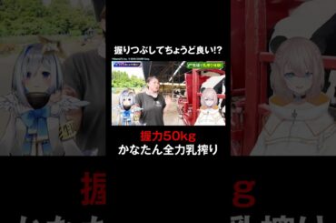 【握力50kgが活きる！？】かなたん握力全開で乳搾り！牛さんに感謝🙏#天音かなた #和氣あず未  #かなあじゅと水曜日 #ホロごえっ！