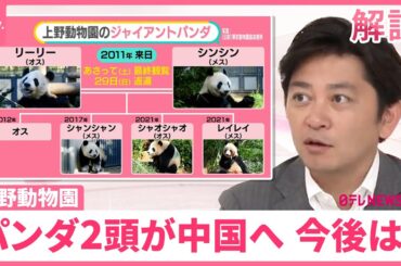 【上野のパンダ2頭が中国へ】“突然の別れ”惜しむ声  レンタル代は年1億円  日本のパンダ今後は？【#みんなのギモン】