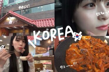 辛。韓国出張旅【vlog#5】
