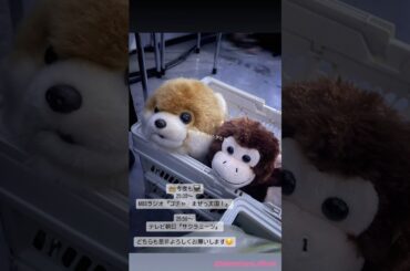 櫻坂46 インスタ組からお知らせ！ゴチャまぜっ天国 サクラミーツ