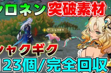 【原神】シロネン突破素材「シャクギク」全123個　効率回収ルート！【攻略解説】5.1アプデ/特産品/育成素材/Brilliant Chrysanthemum