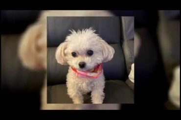 まったり　WGPくだちぃ　養分伊藤