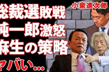 小泉進次郎が総裁選で敗戦した全貌...父・小泉純一郎までも"麻生太郎"に懇願した裏側や滝川クリステルの裏切りへの怒りに言葉を失う...麻生太郎が小泉進次郎を絶対に許さなかった理由がヤバい...