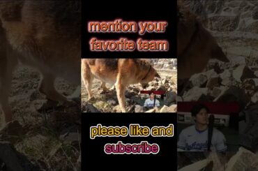 【速報】大谷翔平、唖然とする…希望を失った!!! 「フジの神田愛花アナが突然発表！…世界から批判の嵐」 1