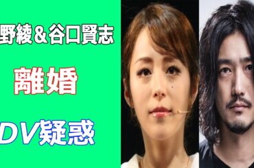平野綾と谷口賢志が離婚