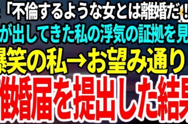 【スカッとする話】夫「不倫妻とは離婚だ！証拠はある！」私の浮気の証拠だと出してきたものを見て爆笑ｗお望み通り離婚してやった結果、夫はすべてを失った…