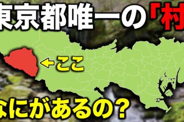 東京都本土に1つだけある『村』に行ってきた！衝撃的な光景が…