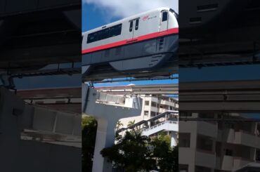 終夏風🌰           ②ゆいレール三両編成        20240912