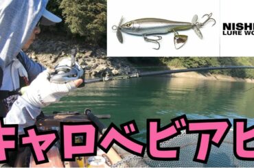 【バス釣り】「キャロベビアビ！」ニシネルアーワークスで残暑残る夏を攻略！in黒瀬ダム　バスツリアワー