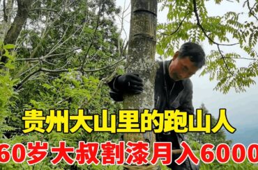 探访贵州大山里的跑山人，60岁大叔割漆月入6000，勤劳在哪都能挣钱！【乡村阿泰】