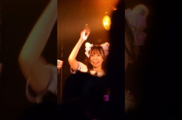 わーすた　楽しそうな松田美里ちゃんとすまん、犬。　#わーすた #wasuta