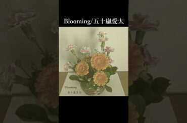 Blooming PV第1弾#shorts