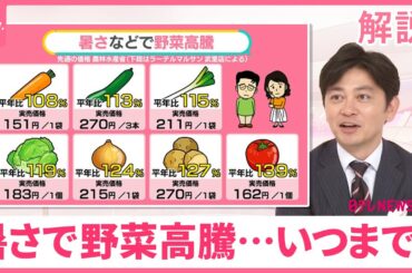 【野菜高騰いつまで？】“激安スーパー”でもトマト1個で162円、梨の「特売」できず  お買い得な野菜2選【#みんなのギモン】