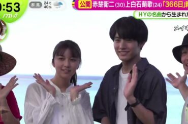 赤楚衛二・上白石萌歌「３６６日」新予告   | 2024年10月3日