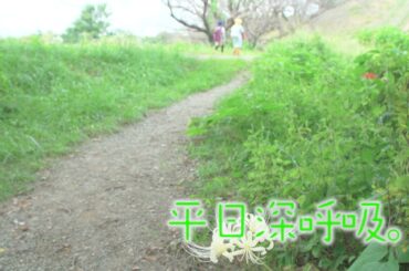 【#桑原由気 #高田憂希】「平日深呼吸。」# 53番宣｜AT-Xにて10/7（月）20:30～放送！