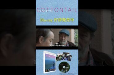 【#コットンテール】Blu-ray絶賛発売中！キャストインタビューなど特典映像も豪華！#パトリック・ディキンソン × #リリー・フランキー × #錦戸亮 × #木村多江 × #高梨臨