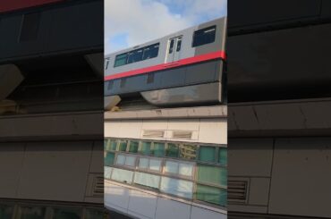 条約🗽            ③ゆいレール三両編成        20240908