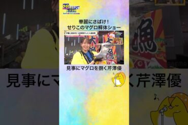 【#声優28時間テレビ】#芹澤優 による巨大マグロ解体ショー！！ #声優と夜あそび #shorts