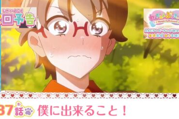 わんだふるぷりきゅあ！ 第37話 予告   「僕に出来ること！」