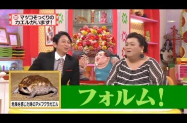 【マツコ&有吉の怒り新党】´꒳`🅗🅞🅣   💝「フォルム!」