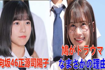 [エンタメニュース] 日向坂46正源司陽子 海外観光客に修学旅行生と間違われる...日向坂46石塚瑶季 鳩がトラウマなまさかの理由