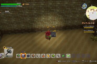 DRAGON QUESTビルダーズ2   #9