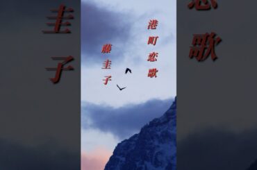 【港町恋歌】藤圭子  #shorts  #港町恋歌  #藤圭子  #演歌   #憩いの場