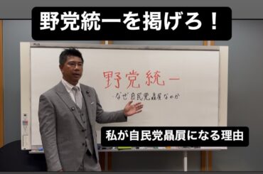 立憲民主党に物申す！なぜNHK党が自民党を応援するのか？