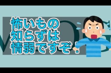 VLOG 怖いもの知らずは情弱  海の様子 波情報 鳥取 #surfing #釣り '24/10/4 岩戸 羽尾