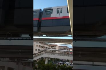 条約🗽            ⑥ゆいレールノーマル1000形               20240908