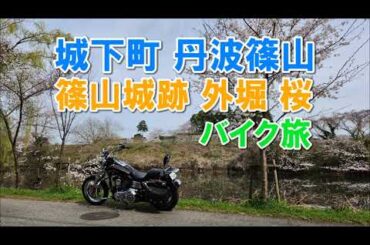 城下町 丹波篠山城跡 桜を巡るバイク旅