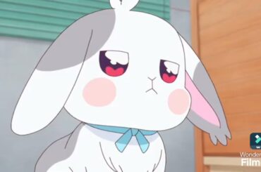 【わんだふるぷりきゅあ！】第７話の名言 イケボ大福「腹いっぱい食って元気だしなっ！」