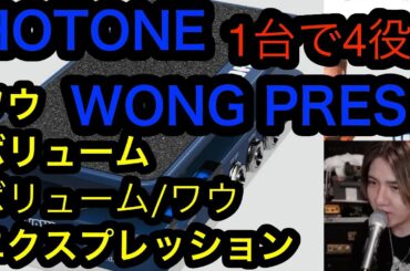 4つの機能を1つに！もうマルチのコントロールはこれで良いやん！HOTONE WONG PRESS