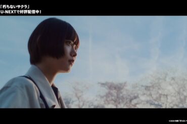 『朽ちないサクラ』予告編＜U-NEXTで独占配信中＞
